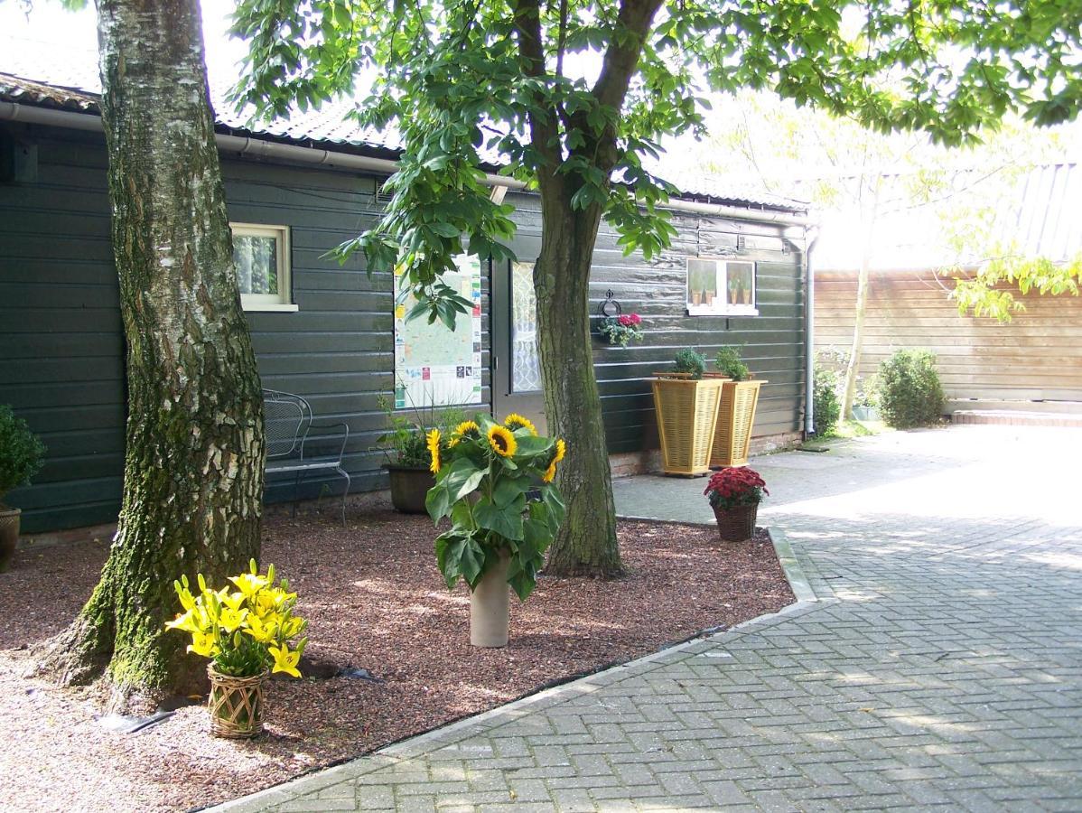 Vakantiewoning De Berkeboom Винтерсвейк Екстериор снимка
